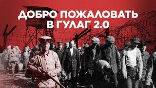 В России возрождают ГУЛАГ? Зачем власти возвращают трудовые лагеря в 2021 году
