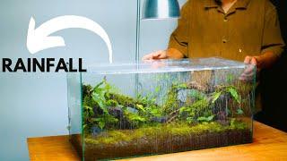 i made a forest style terrarium with a rainfall and mist | rainfall terrarium