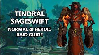 Tindral Sageswift - Normal and Heroic Raid Guide