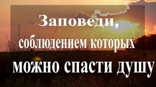 Заповеди, соблюдением которых можно спасти душу - Протоиерей Григорий Дьяченко