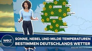 WETTER IN DEUTSCHLAND: Milde Wintertage: Deutschlands Süden sonnt sich, der Norden bleibt grau