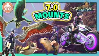 FFXIV | 7.0 MOUNTS and where to get them! | DAWNTRAIL