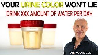 YOUR URINE COLOR WON'T LIE...DRINK XXX AMOUNT OF WATER PER DAY - Dr Alan Mandell, DC