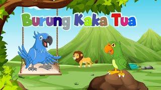 Burung Kaka Tua | Lagu anak | Lagu anak Terbaru