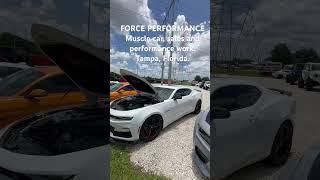 Camaro ZL1, SS 1LE, MACH 1 , GT350, Mopar sales & performance work in TAMPA. SUPERCHARGERS IN-STOCK