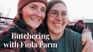 Learning to Butcher a Sheep with Fiola Farm