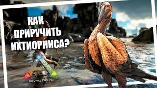 Как приручить Ихтиорниса?  | ARK: Survival Evolved