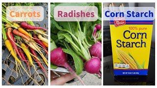 How To Grow Carrots and Radishes with Cornstarch:  Great for the Beginner Gardener!
