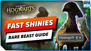 SHINY HUNTING Guide in Hogwarts Legacy - How To Get Rare Magical Beasts Very Fast!