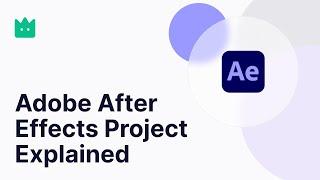 Lordicon Adobe After Effects Project Explained