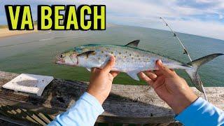 Catching SPANISH MACKEREL on GOTCHA PLUGS! PIER FISHING in VIRGINIA BEACH for BIG BLUES & SPANISH!