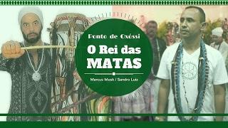 Ponto de Oxóssi - O REI DAS MATAS - Sandro Luiz Umbanda