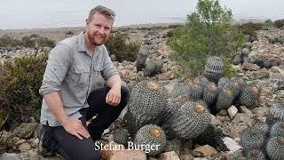 Ethically Sourced Cacti and Succulents: Insights and Examples by Stefan Burger