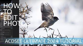 How to Edit Photos in ACDSee Ultimate 2024 - A Beginner's Guide