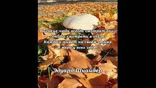 "Мера у всех своя..." Эдуард Шнайдер. Читает: автор.(стихи /мысли/ - Книга-2 "Зачем")#shorts