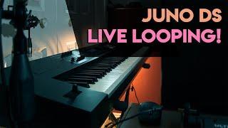Synthwave Looper Jam - Roland Juno DS