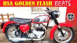 VINTAGE BSA GOLDEN FLASH BEATS