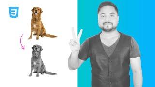 CSS Image Filters: Adding Visual Effects To Images (Udemy & SkillShare Course Trailer)