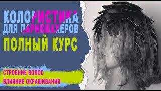 Урок 5. Полный курс по колористике. Обучение парикмахеров. Строение волос и влияние окрашивания.