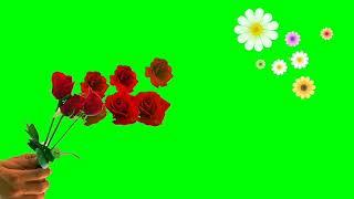 New rose flower Green screen video effect Ranjeet sharma carpenter