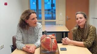 Menopauze? Let extra op je hart en vaten