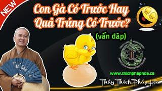 Con Gà Có Trước Hay Quả Trứng Có Trước? (vấn đáp) - Thầy Thích Pháp Hòa