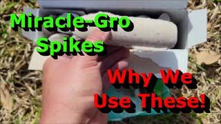Why We Use These Miracle-Gro Tree & Shrub Plant Food Spikes