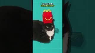 Adding Maxwell The Cat To My Game 