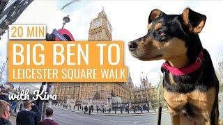 Big Ben️ to Leicester Square City Walk with Kira dog