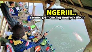 SOSOK YANG JARANG TERLIHAT KINI MUNCUL TERPIKAT SAMA UMPAN IKAN MAS NILA || MANCING MANIA