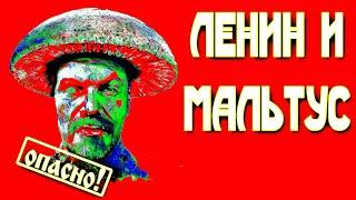 Мальтузианство в России:  Ленинский гриб и путинские аборты