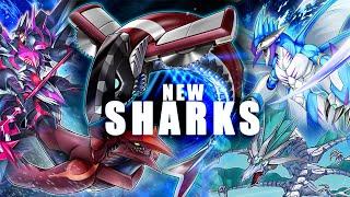 Shark Armored Xyz Reaches New Depths - 7+ Interruptions