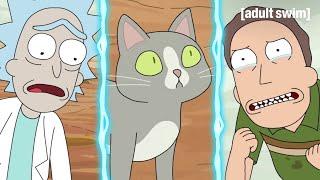 Don't Ask Why the Cat Can Talk | Rick and Morty | adult swim