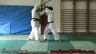 Sanseiru bunkai Santiago Cerezo