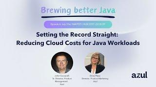 Setting the Record Straight: Reducing Cloud Costs for Java Workloads