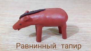 Лепим равнинного тапира