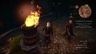 The Witcher 3: Wild Hunt – Explore the passages under the Temple isle