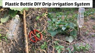 How to Make Homemade Drip Watering with Plastic Bottle |Win Pini FarmLife|