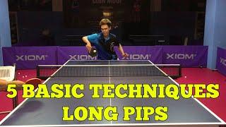 5 Basic Techniques Long Pips | Table Tennis Tutorial