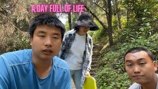 A day full of life