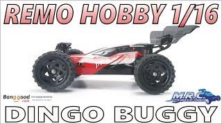 Remo Hobby 1/16 Dingo Buggy (aka RH1) from Banggood.com EP#273