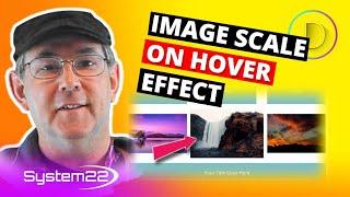 Divi Theme Image Scale On Hover Effect 