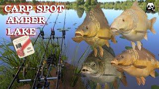 Russian Fishing 4 RF4 The Amber Lake. Dobar spot. Pecanje šarana. | Good spot. Carp fishing. |