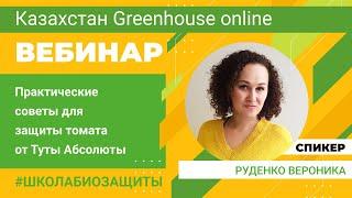 Как избавиться от Туты абсолюты? Защита помидоров от вредителей. Руденко Вероника