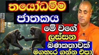 තයෝධම්ම ජාතකය - හරිම ආදර්ශවත් ලස්සන කතාවක් | Koralayagama saranathissa thero bana 2025|jathaka Katha