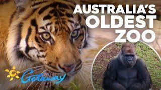 Melbourne Zoo  | Getaway 2020