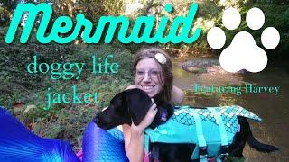 Mermaid Dog Life Jacket Review And Mermaid Swimming With Dog