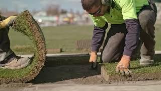 Napier's McLean Park Returf Project