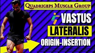Vastus Lateralis ( वस्तूस लैटरलिस )Origin Insertion || Personal Training Course || Quadriceps Muscle
