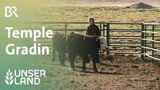 Temple Grandin: Rinder stressfrei halten und töten | Unser Land | BR Fernsehen